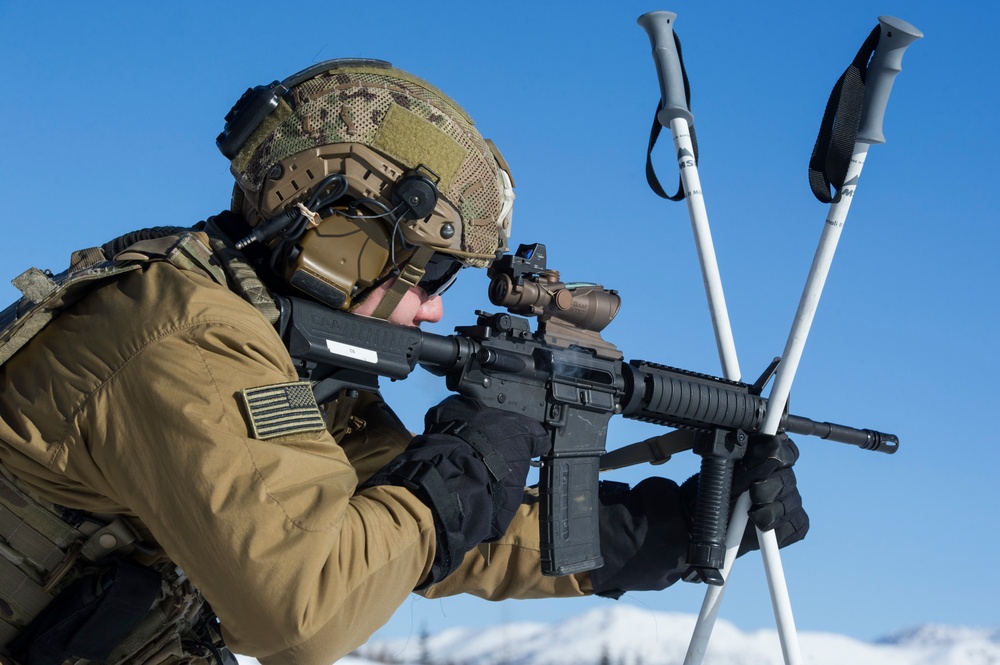 3rd Air Support Operations Squadron conduct Arctic live-fire training