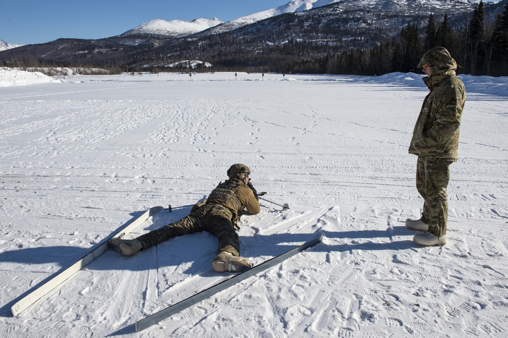 3rd Air Support Operations Squadron conduct Arctic live-fire training