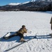 3rd Air Support Operations Squadron conduct Arctic live-fire training