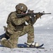 3rd Air Support Operations Squadron conduct Arctic live-fire training