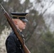 Tomb oSentinal guards the Tomb of the Unknown Soldier