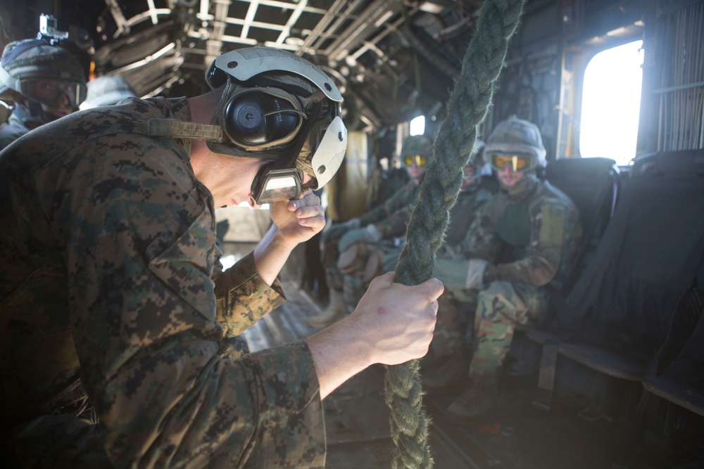 Dutch Bilateral Training