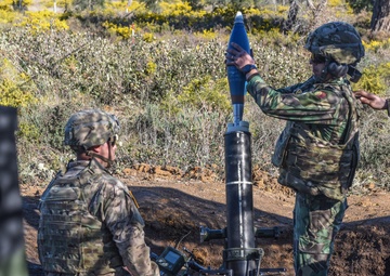 Mortars thunder down fire in Real Thaw