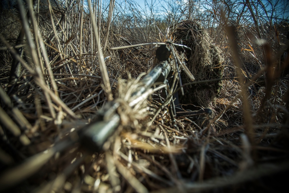 U.S. Marine and Japan Ground Self-Defense Scout Snipers