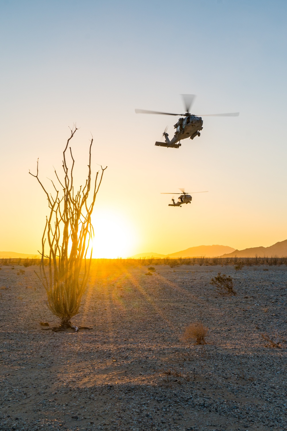 HSC-85 Desert Landing