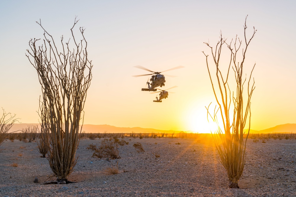 HSC-85 Desert Landing