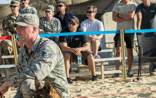 Deployed military working dogs show-off skills
