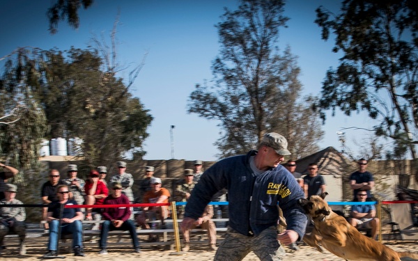 Deployed military working dogs show-off skills
