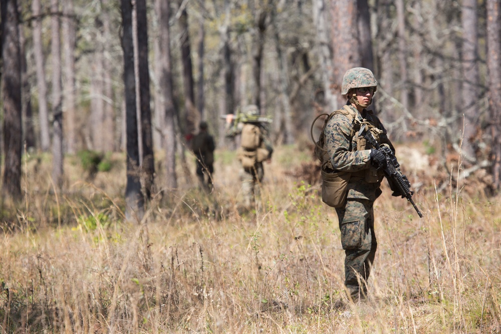 2nd Assault Amphibian Battalion Grenade Range