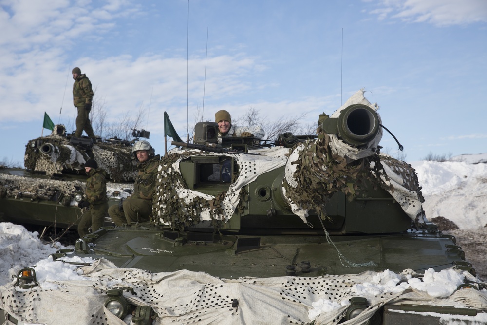 Exercise Joint Viking brings U.S. Marines, partner nations to frozen tundra