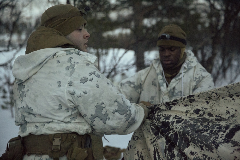 Exercise Joint Viking brings U.S. Marines, partner nations to frozen tundra