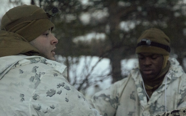 Exercise Joint Viking brings U.S. Marines, partner nations to frozen tundra