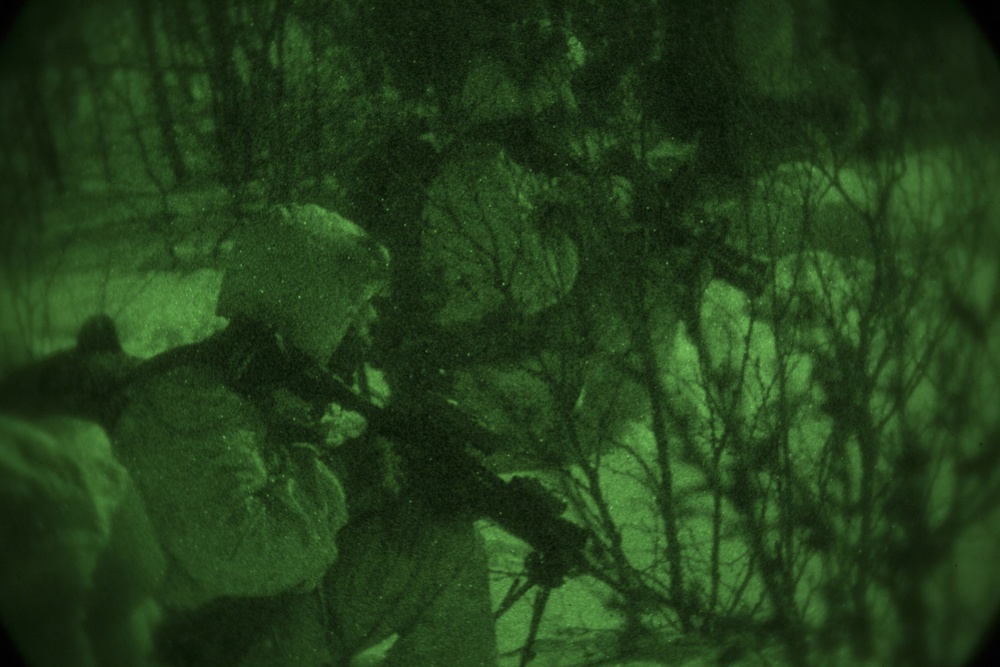 Exercise Joint Viking brings U.S. Marines, partner nations to frozen tundra