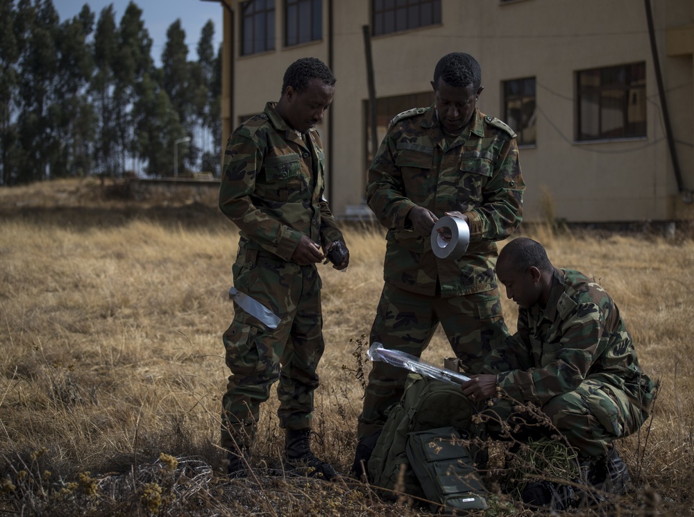 U.S. Navy EOD trains ENDF