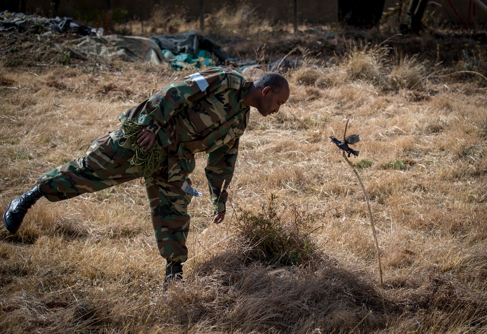 U.S. Navy EOD trains ENDF