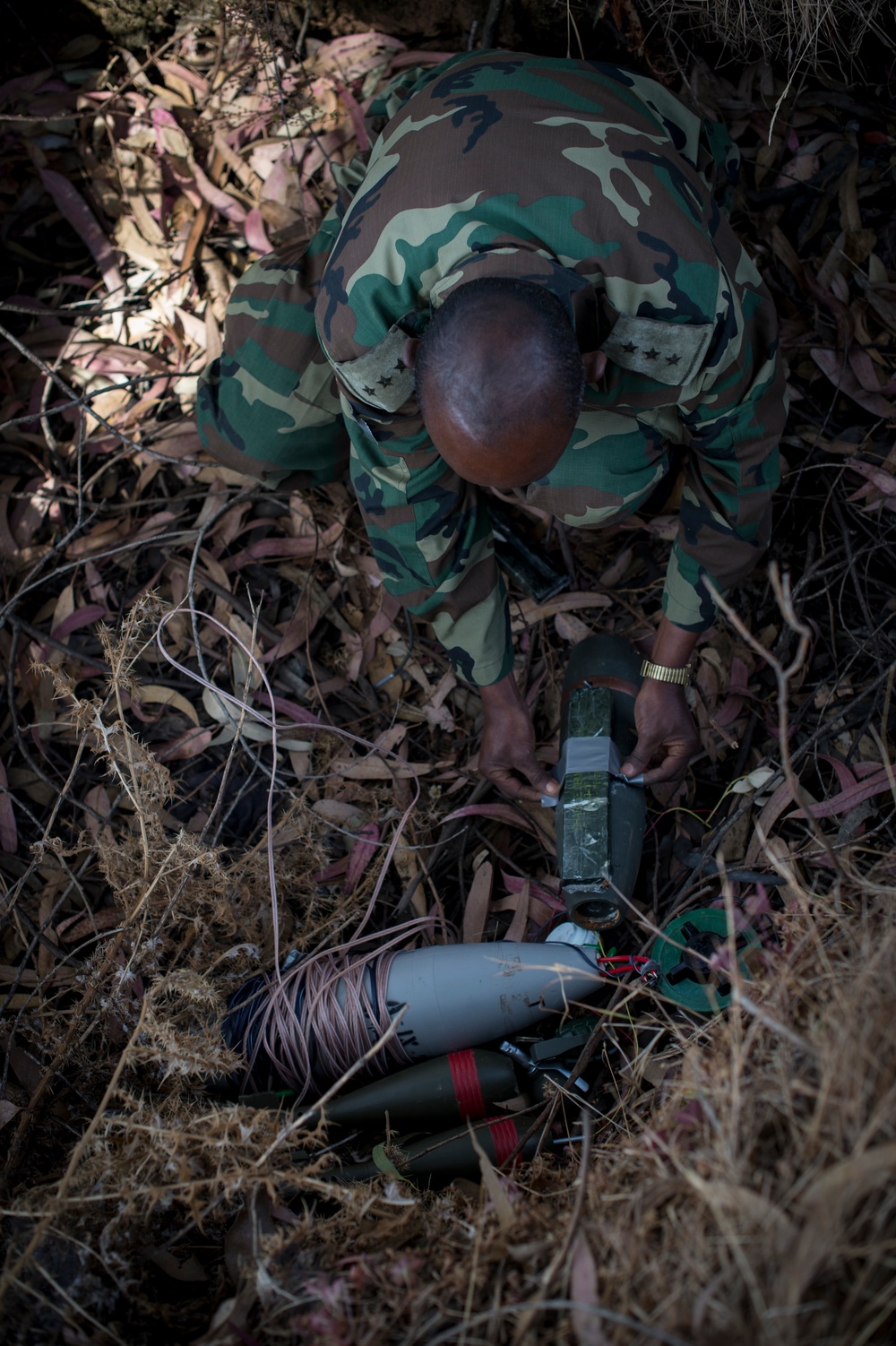 U.S. Navy EOD trains ENDF