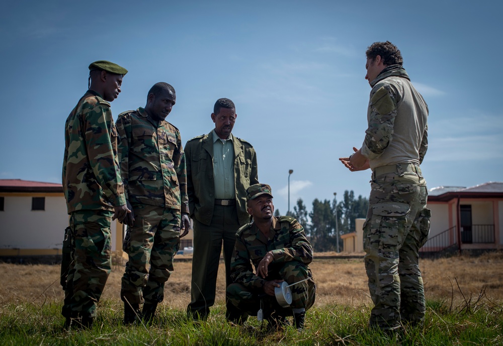 U.S. Navy EOD trains ENDF