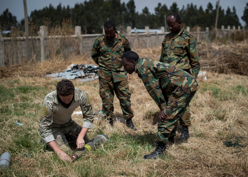 U.S. Navy EOD trains ENDF