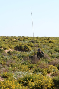 Moroccan Special Operations Conduct Reconnaissance [Image 1 of 7]