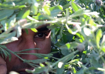 Moroccan Special Operations Conduct Reconnaissance