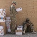 Task Force Forge soldiers in Helmand