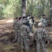 Polish, U.S. tanks lead the way during combined maneuver training
