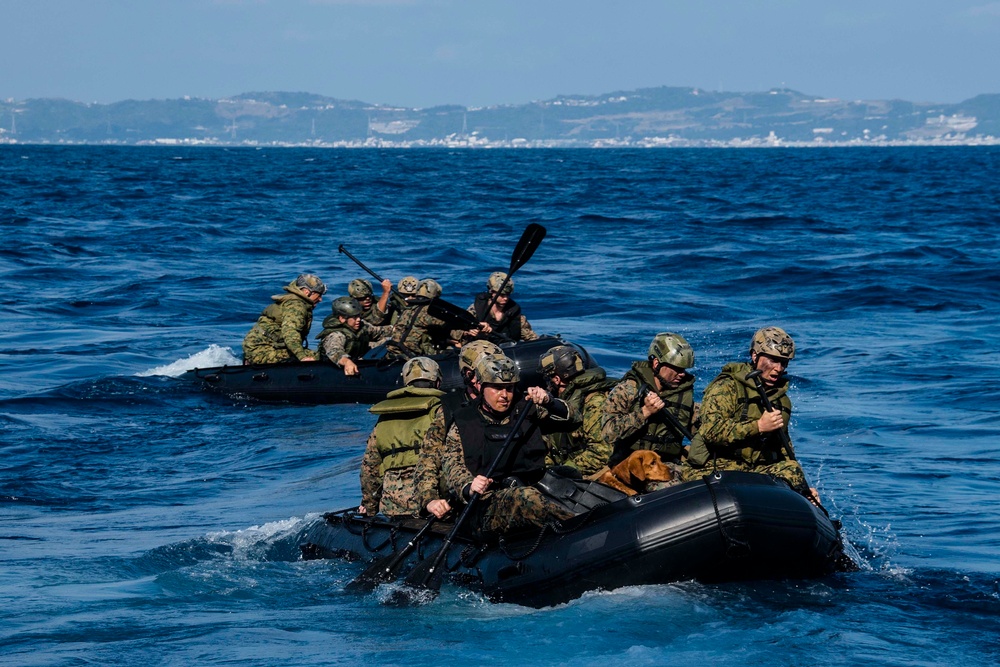 31st MEU, with military working dog, departs USS Green Bay during CRRC raid