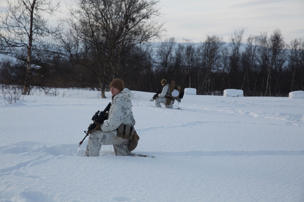 Exercise Joint Viking brings U.S. Marines, partner nations to frozen tundra