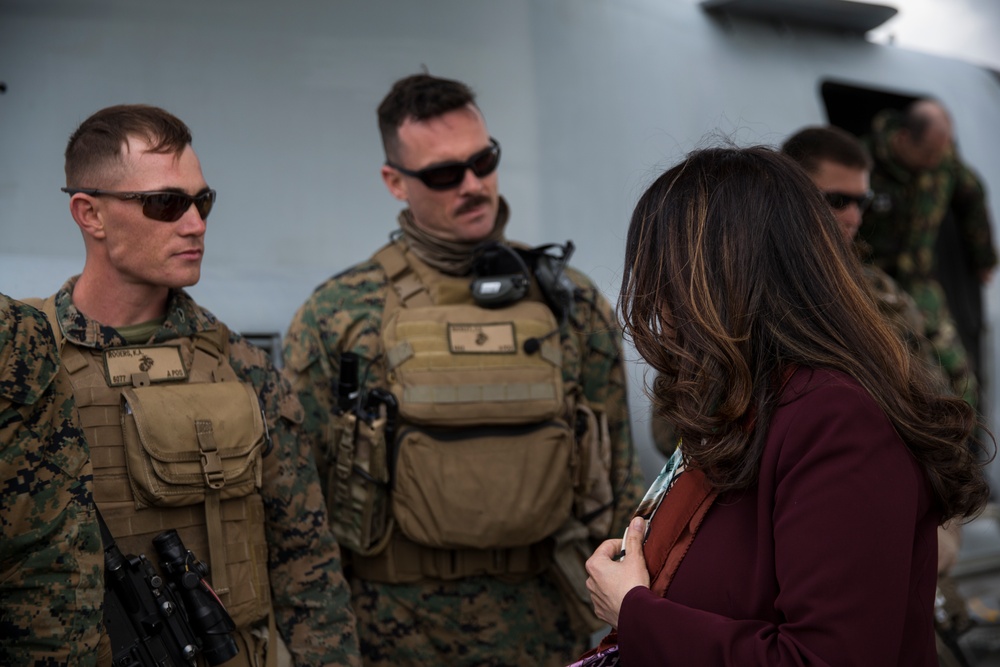 Show ‘Em What We Got: U.S. Marines participate in static display show during Real Thaw 17