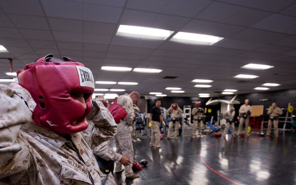 Martial Arts Instructor Course