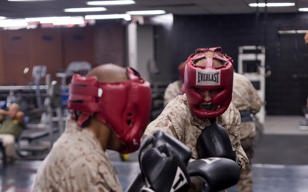 Martial Arts Instructor Course