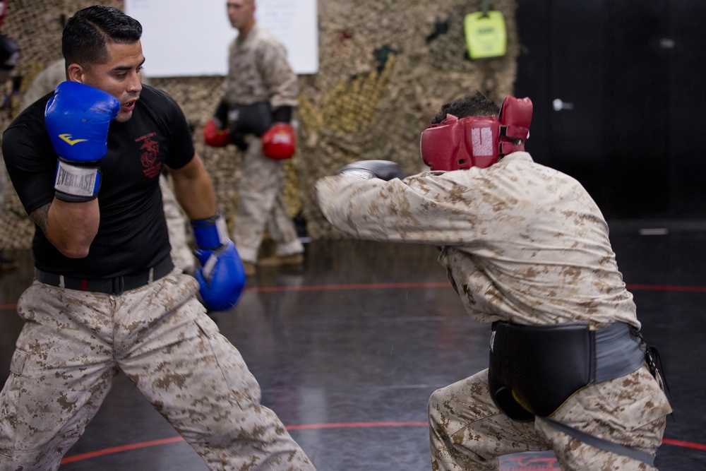 Martial Arts Instructor Course