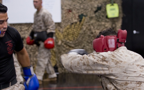 Martial Arts Instructor Course