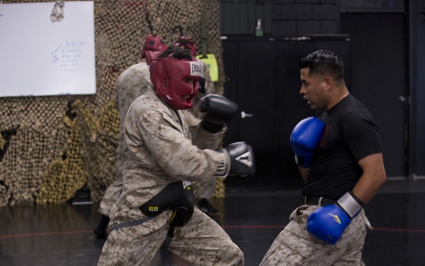 Martial Arts Instructor Course