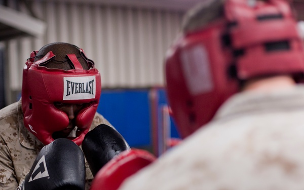 Martial Arts Instructor Course