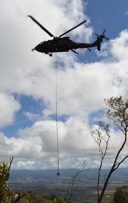 Army’s heavy lifting helps protect endangered snails