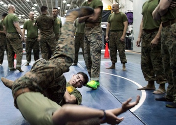 MCMAP training aboard USS Bonhomme Richard