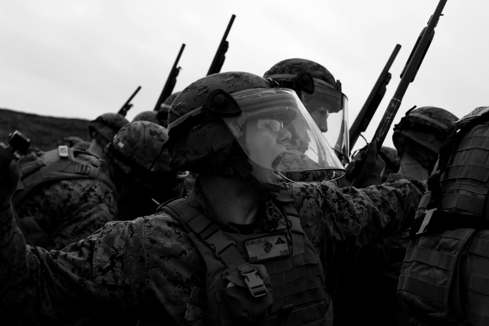 BSRF 17.1 Marines take on nonlethal weapons range