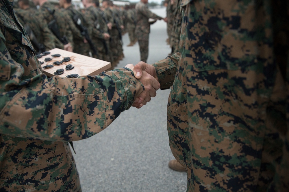 Marine recruits finish crucible, earn title Marine on Parris Island