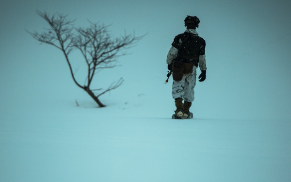A lone figure wearing winter camouflage gear and a helmet walks through a deep snow-covered landscape. The scene is dominated by a cold, blue-tinted palette with a single bare, leafless tree leaning in the background. The minimalist composition emphasizes isolation and harsh winter conditions.