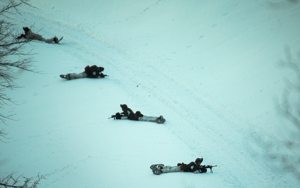 The image shows approximately four to five military personnel in prone firing positions on a snow-covered open field, viewed from an elevated angle. The soldiers appear to be wearing winter camouflage gear and are holding rifles aimed in a consistent direction. Bare deciduous trees are visible along the left edge of the frame, suggesting a cold-weather training or operational scenario.