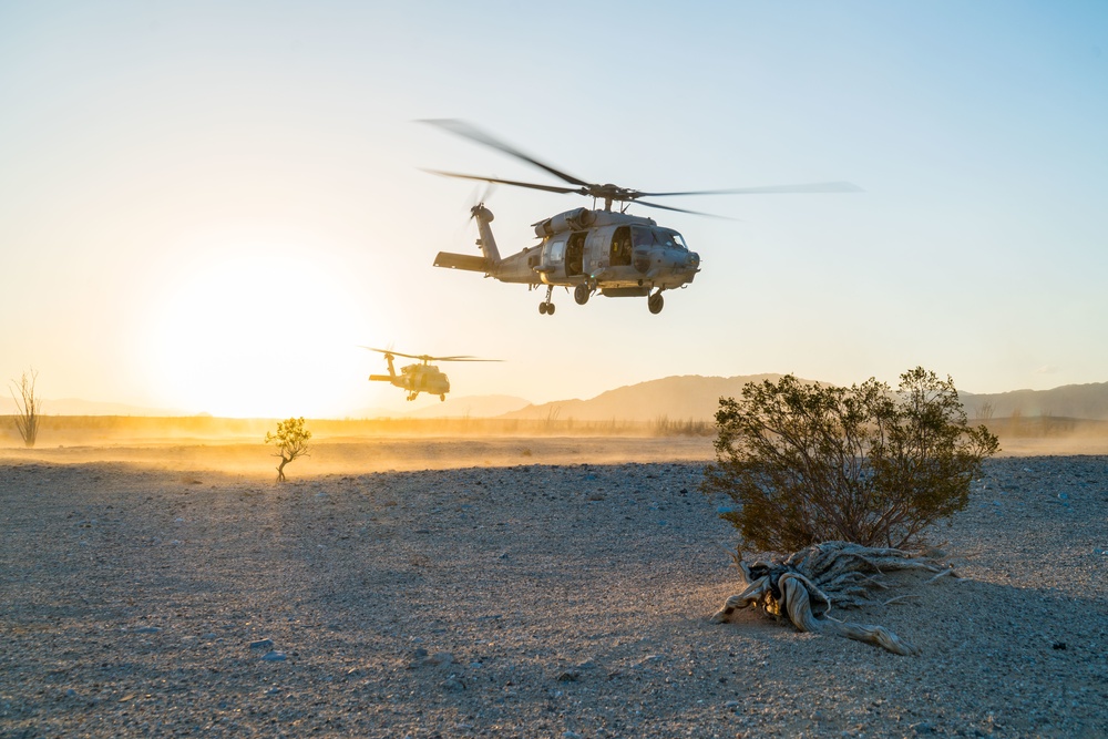 HSC-85 Desert Landing