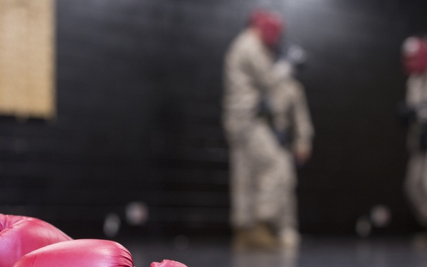 Martial Arts Instructor Course