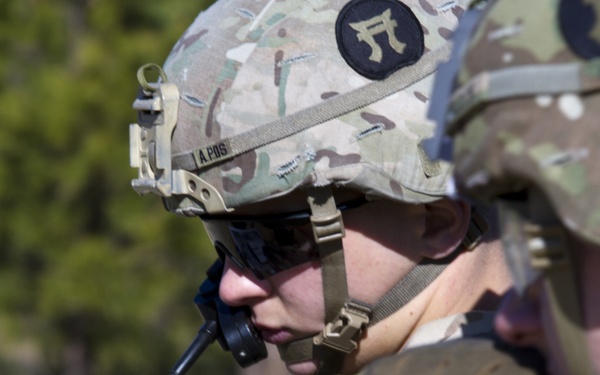 Airmen, Soldiers, Marines practice close air support at WAREX-78-17-01