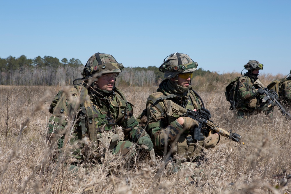 Royal Dutch Marines