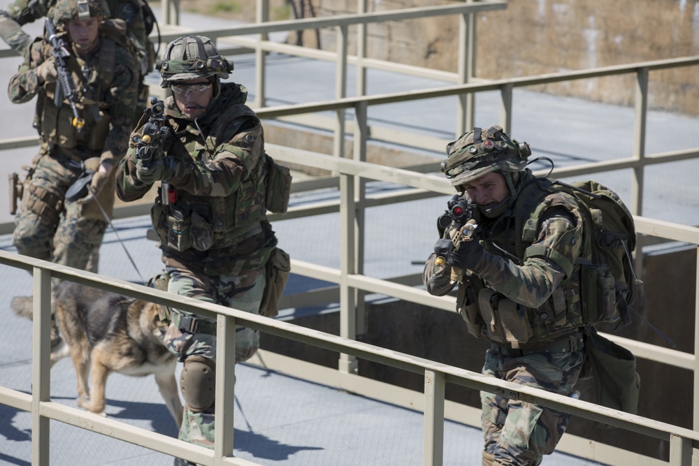 Royal Dutch Marines Quick Response Force Exercise