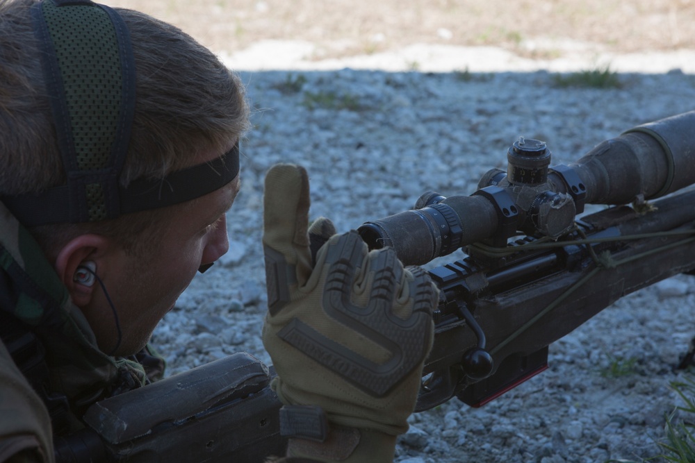 Royal Dutch Marines Quick Response Force Exercise