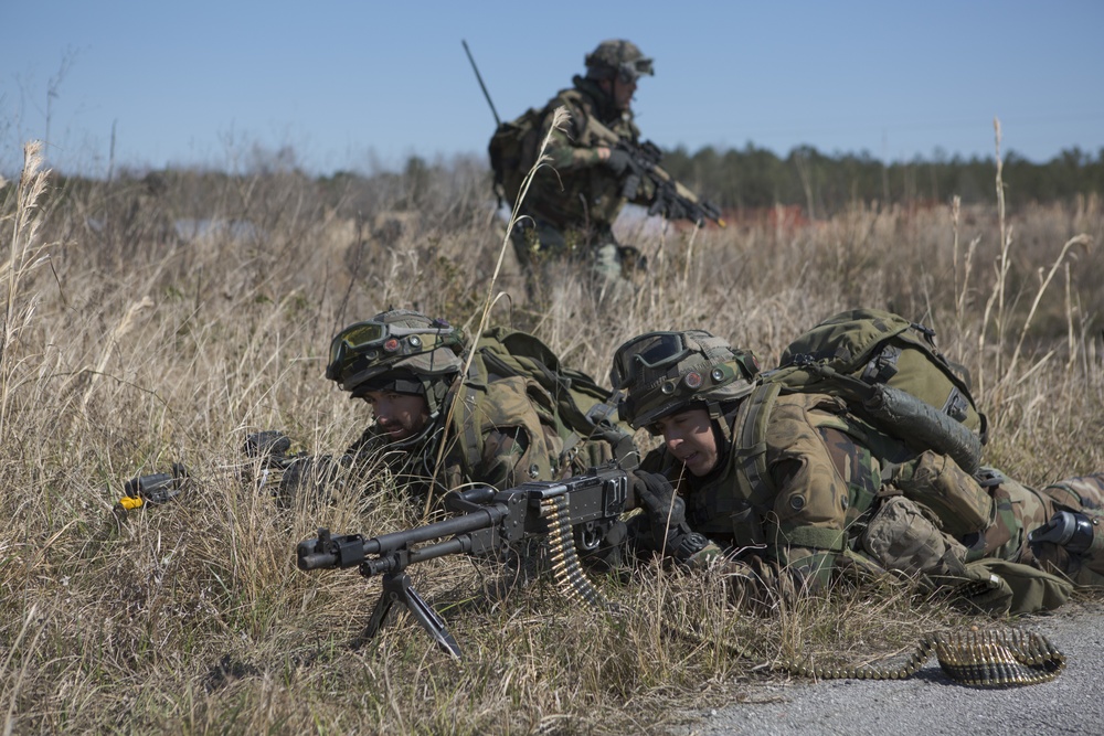 Royal Dutch Marines Quick Response Force Exercise