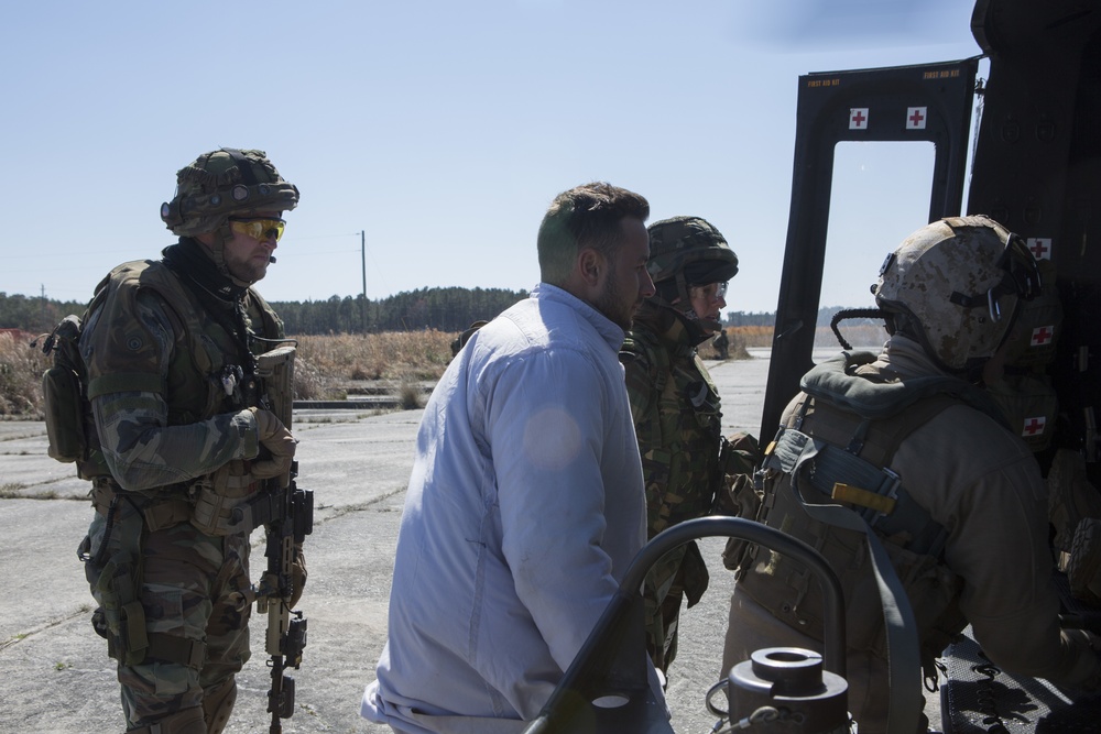 Royal Dutch Marines Quick Response Force Exercise