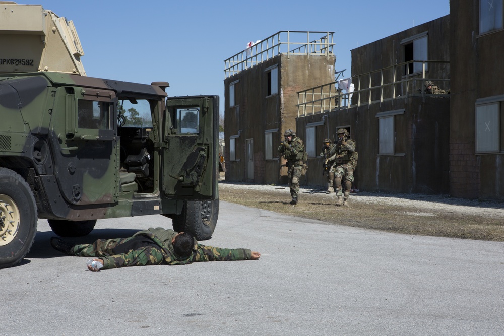 Royal Dutch Marines Quick Response Force Exercise